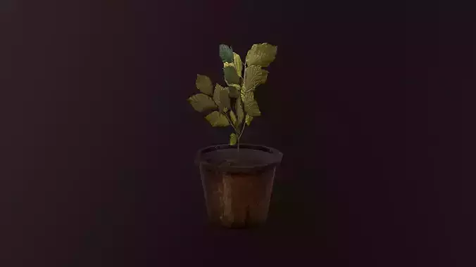 Flower Pot Low-poly 3D model