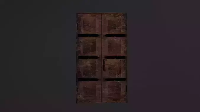 Wooden door with iron elements