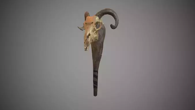 Goat skull stick