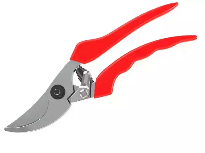 Pruning Shears