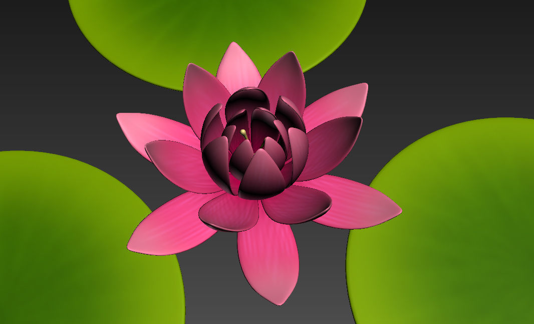 Lotus water lily 3D model_8