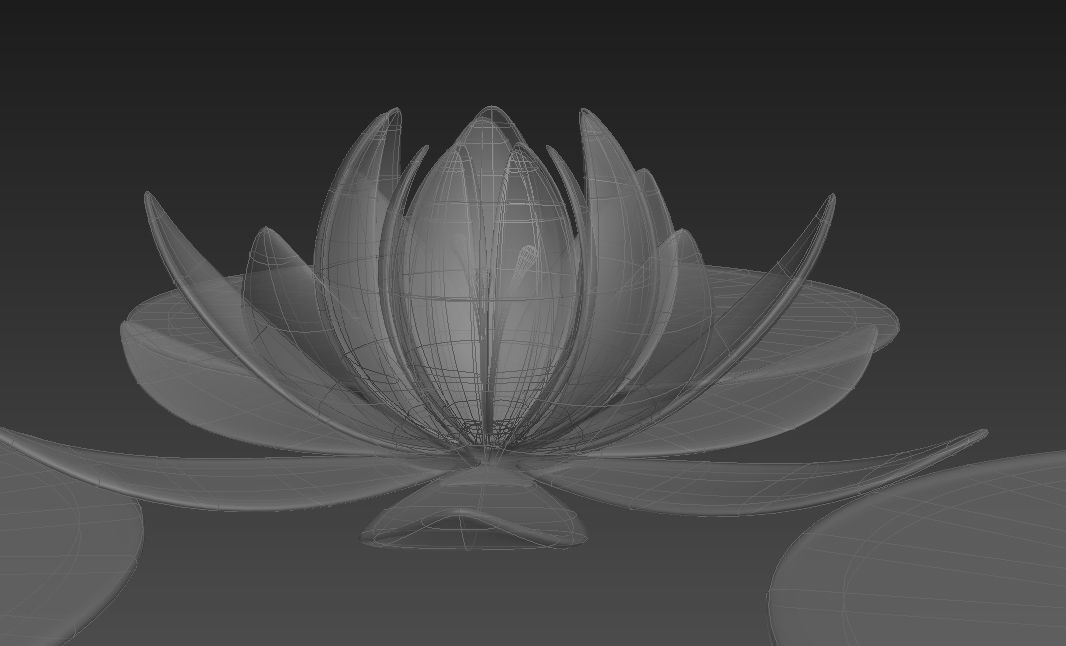 Lotus water lily 3D model_12