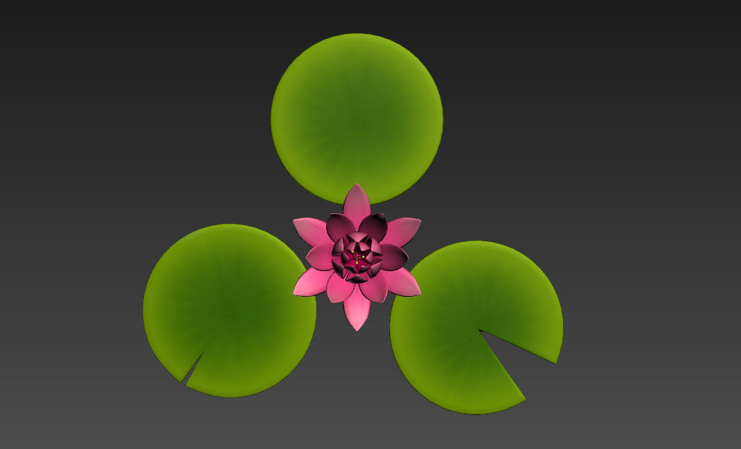 Lotus water lily 3D model_6