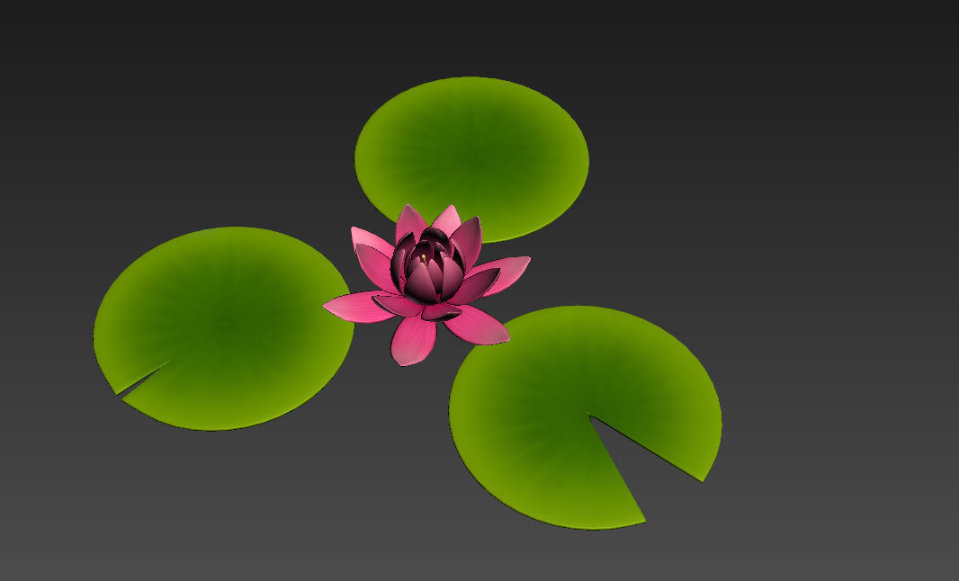 Lotus water lily 3D model_5