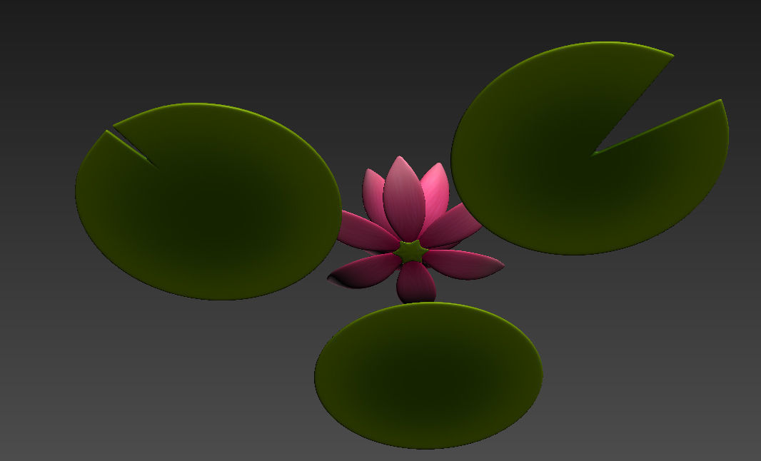 Lotus water lily 3D model_11