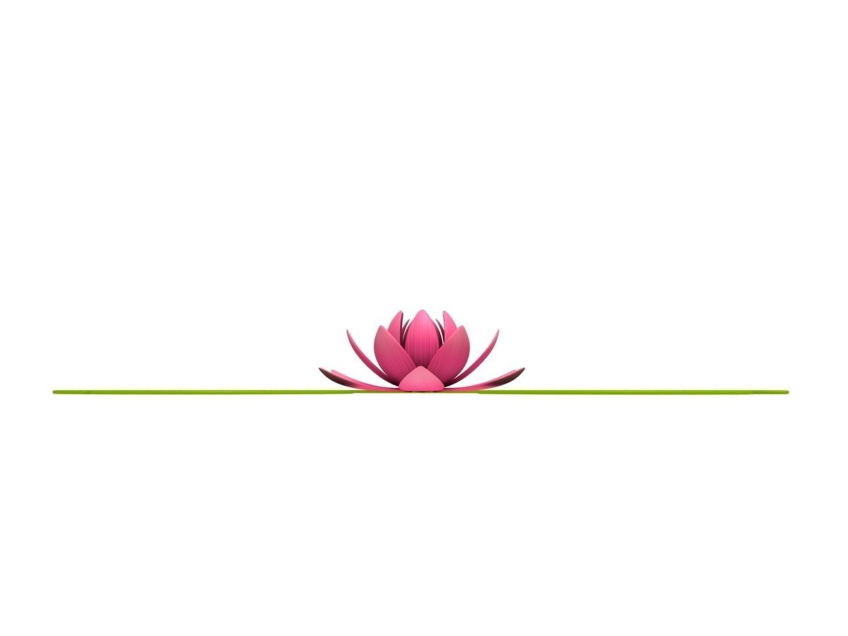 Lotus water lily 3D model_3