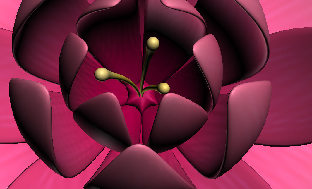 Lotus water lily 3D model_10