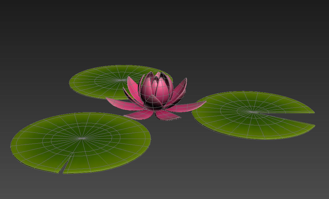 Lotus water lily 3D model_7