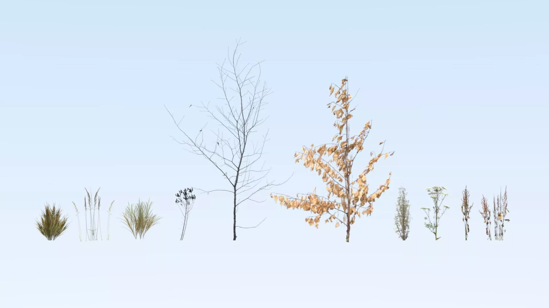 Dried vegetation set Free low-poly 3D model