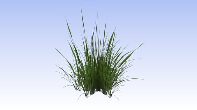 https://img-new.cgtrader.com/items/1856337/c51c003872/grass-lowpoly-free-3d-model-c51c003872.jpg