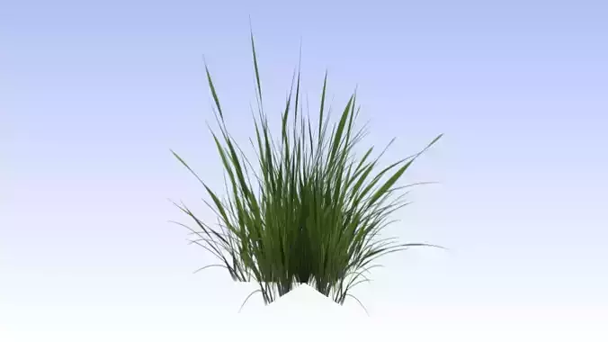 Grass lowpoly free Free low-poly 3D model