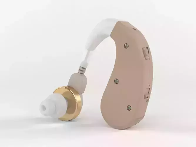 Mini Portable Hearing Aid