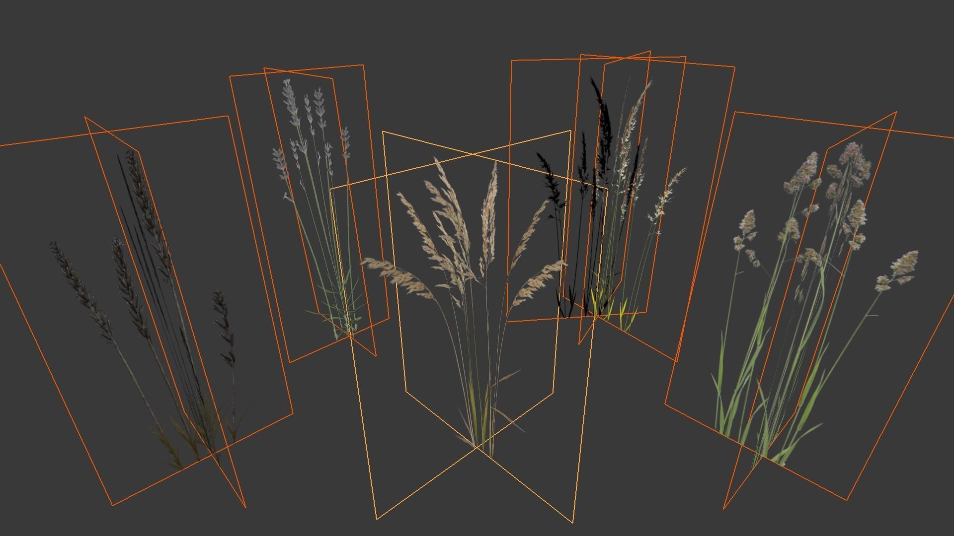 Cereals set lowpoly tall grass Low-poly 3D model_9