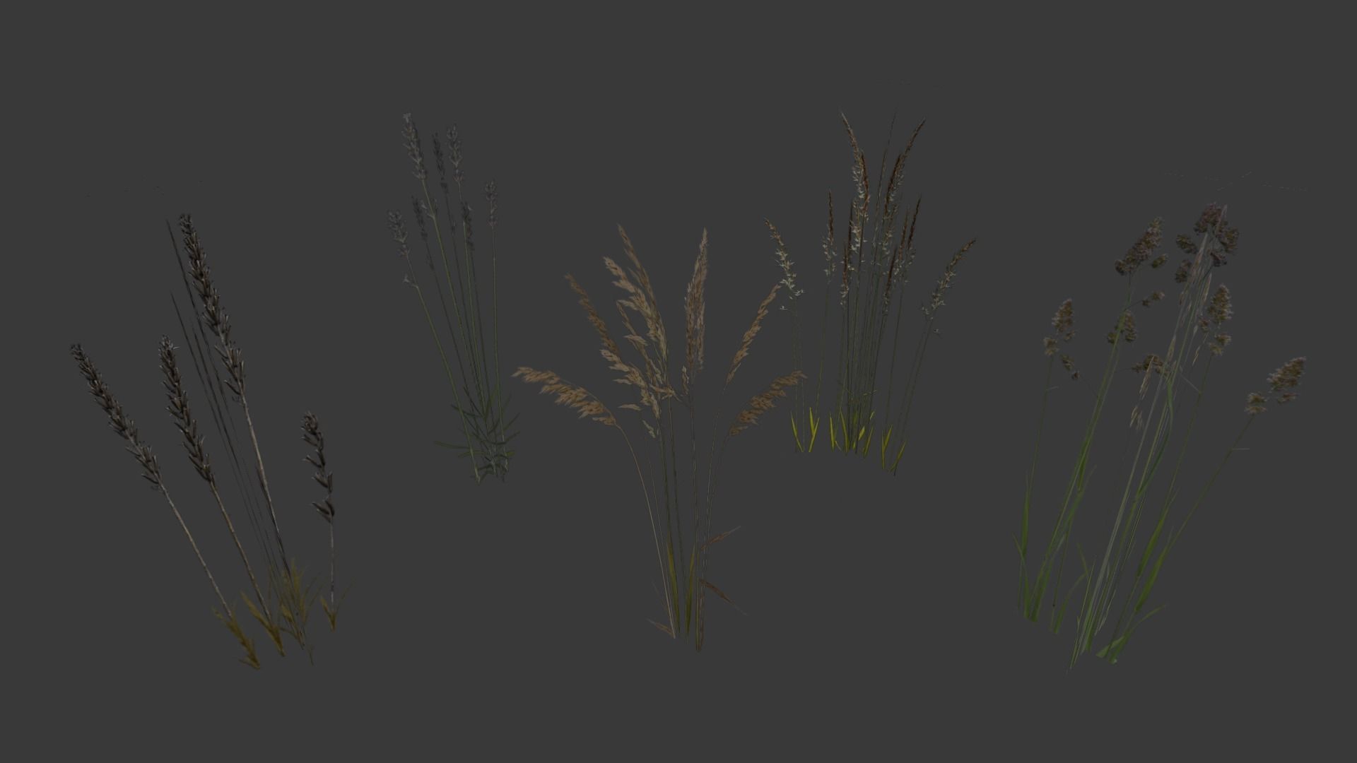 Cereals set lowpoly tall grass Low-poly 3D model_8