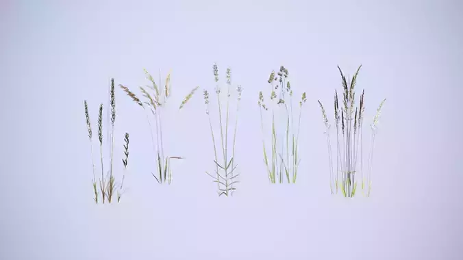 Cereals set lowpoly tall grass