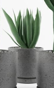 Cactus  in pots 3D model 3D model_6