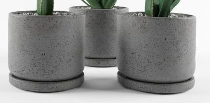 Cactus  in pots 3D model 3D model_3