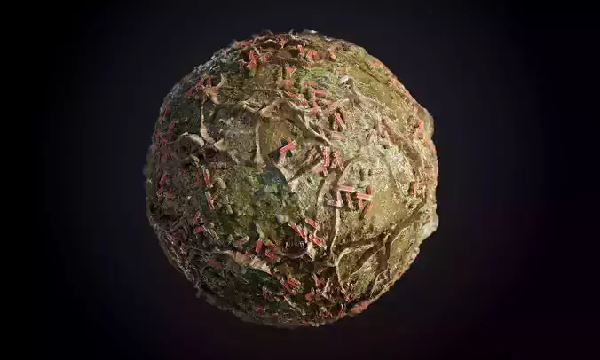 Ground Forrest Roots Grass Seamless PBR Texture