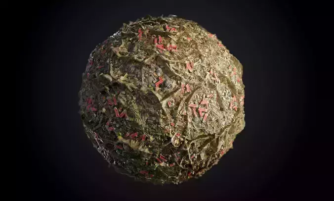 Ground Forrest Roots Grass Seamless PBR Texture