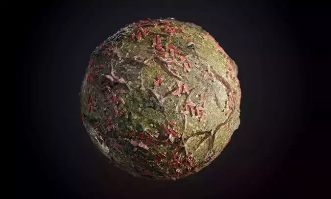 Ground Forrest Roots Grass Seamless PBR Texture