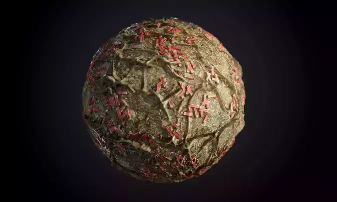 Ground Forrest Roots Grass Seamless PBR Texture