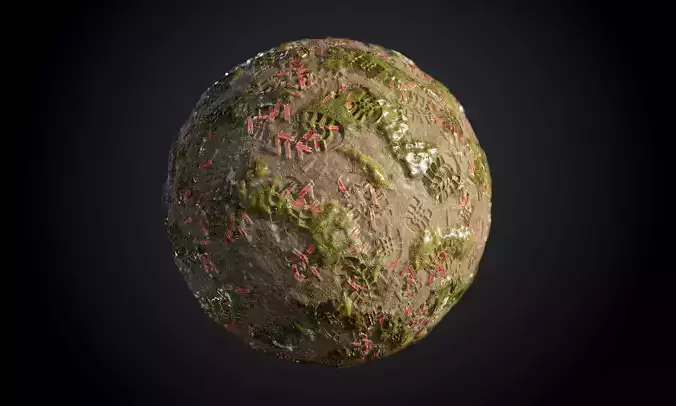 Ground Forrest Rock Stone Roots Grass Seamless PBR Texture Texture