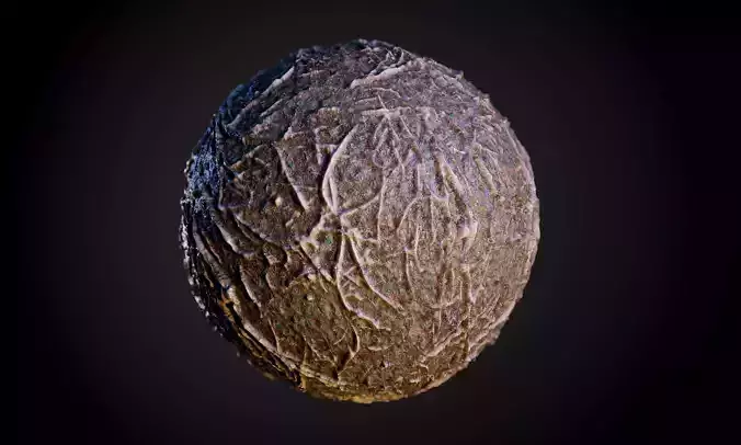 Tree Roots Mud Ground Terrain Seamless PBR Texture