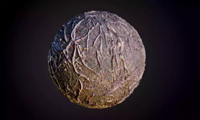 Tree Roots Mud Ground Terrain Seamless PBR Texture