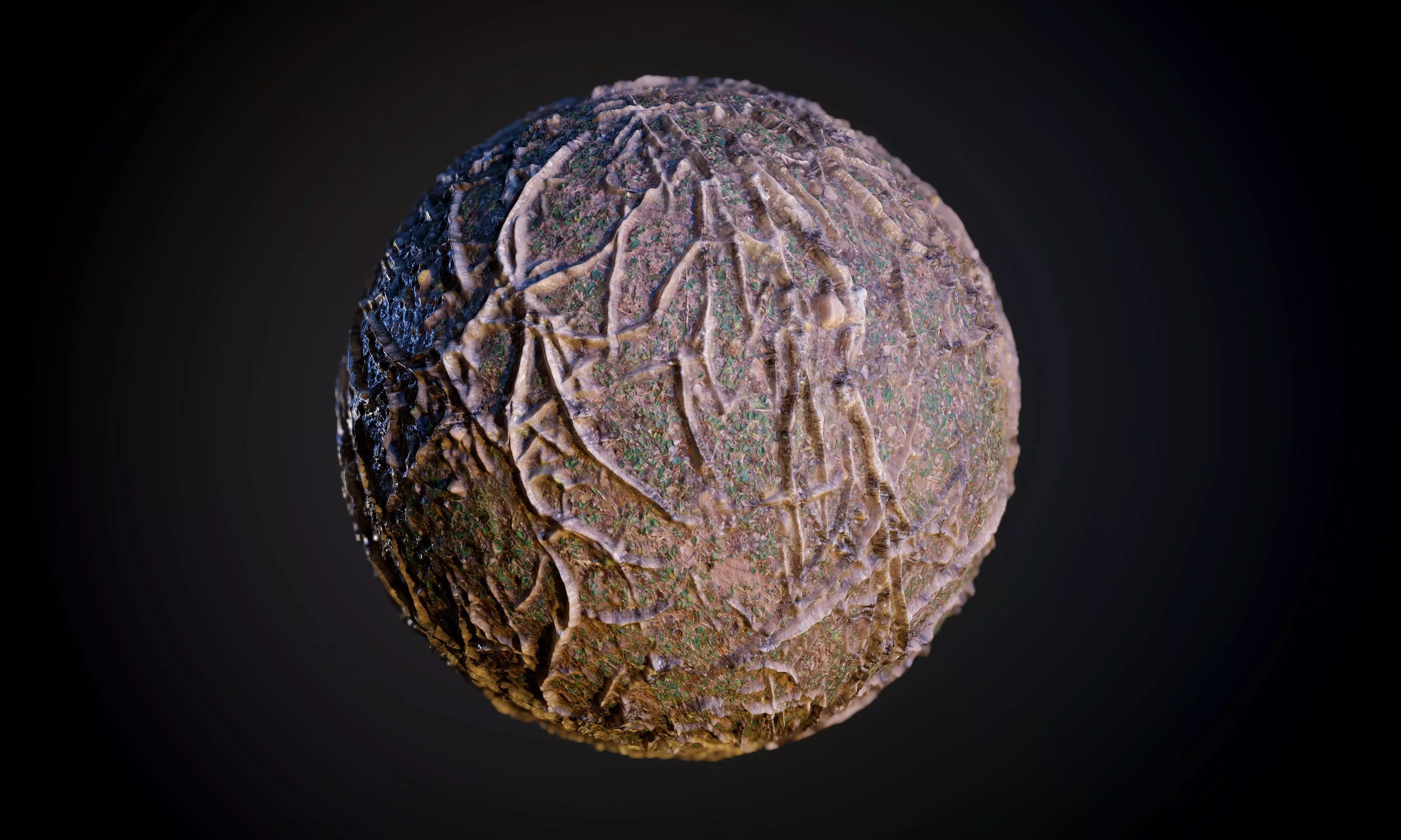 Tree Roots Mud Ground Terrain Seamless PBR Texture Texture_0