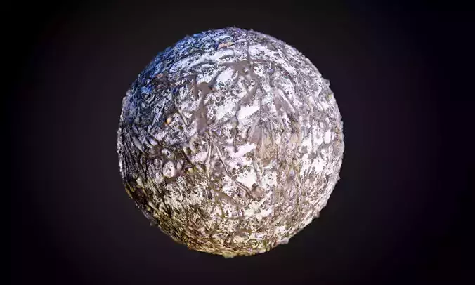 Tree Roots Snow Ground Terrain Seamless PBR Texture