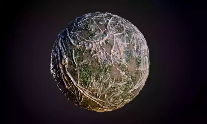 Tree Roots Moss Mud Seamless PBR Texture