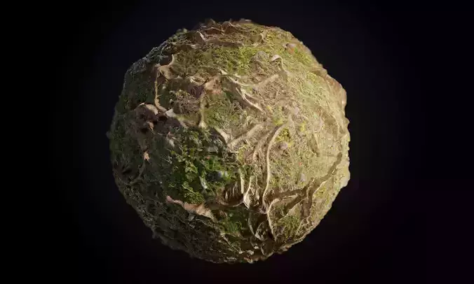 Tree Roots Terrain Ground Seamless PBR Texture