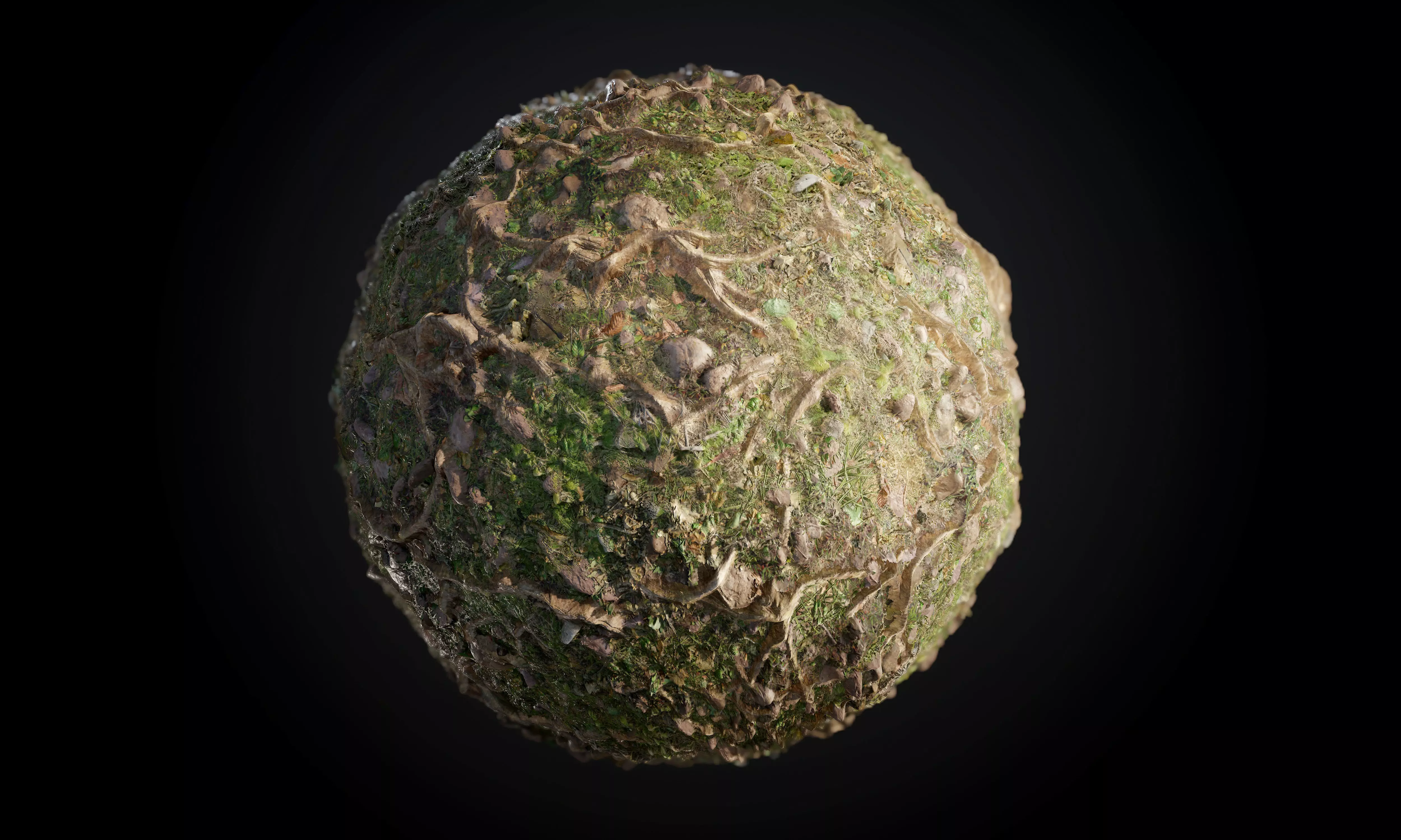 Ground Tree Roots Grass Seamless PBR Texture Texture | CGTrader