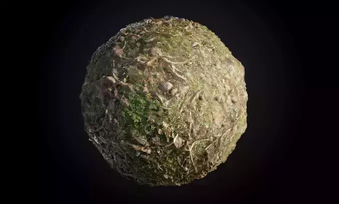 Ground Tree Roots Grass Seamless PBR Texture