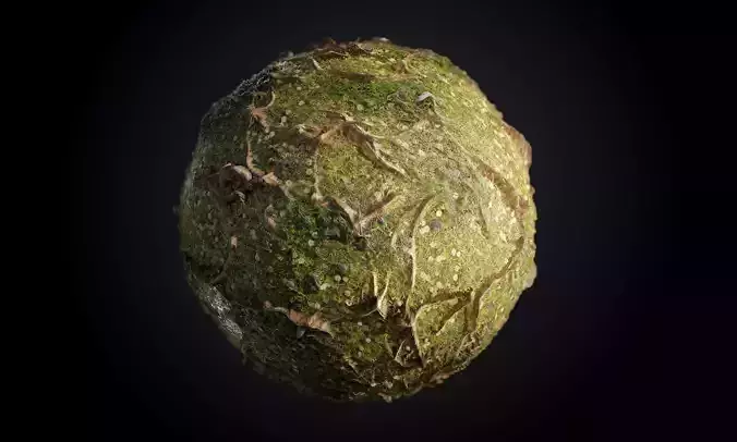 Grass Ground Tree Roots Seamless PBR Texture