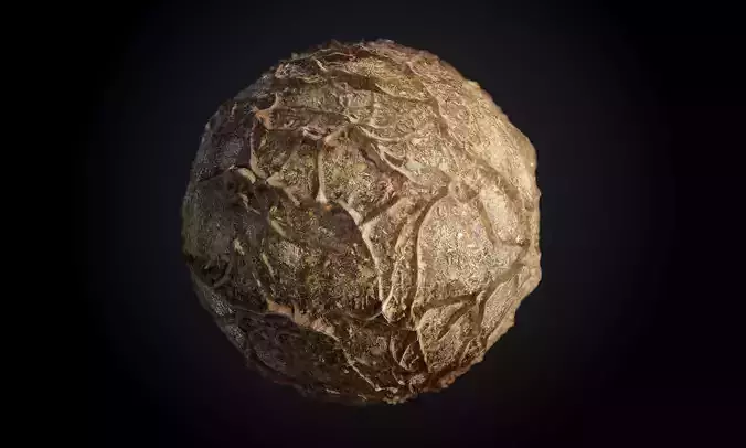 Tree Roots Debris Leaves Seamless PBR Texture