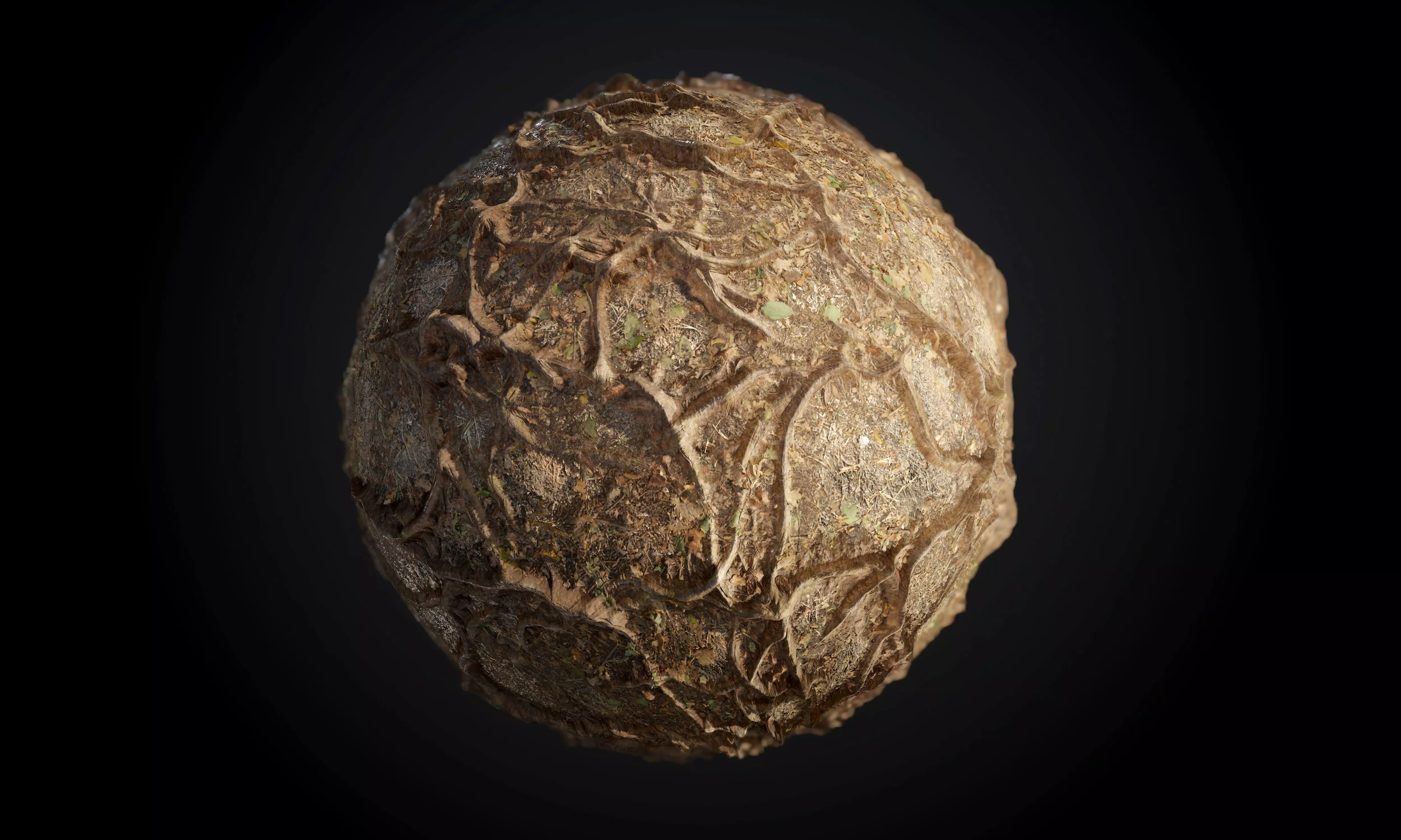 Tree Roots Debris Leaves Seamless PBR Texture Texture_0
