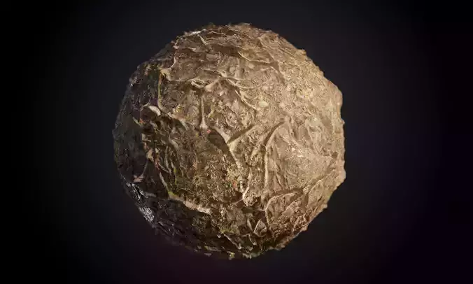 Tree Root Debris Leaves Seamless PBR Texture