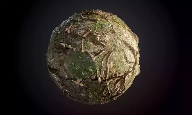 Tree Roots Ground Seamless PBR Texture Texture