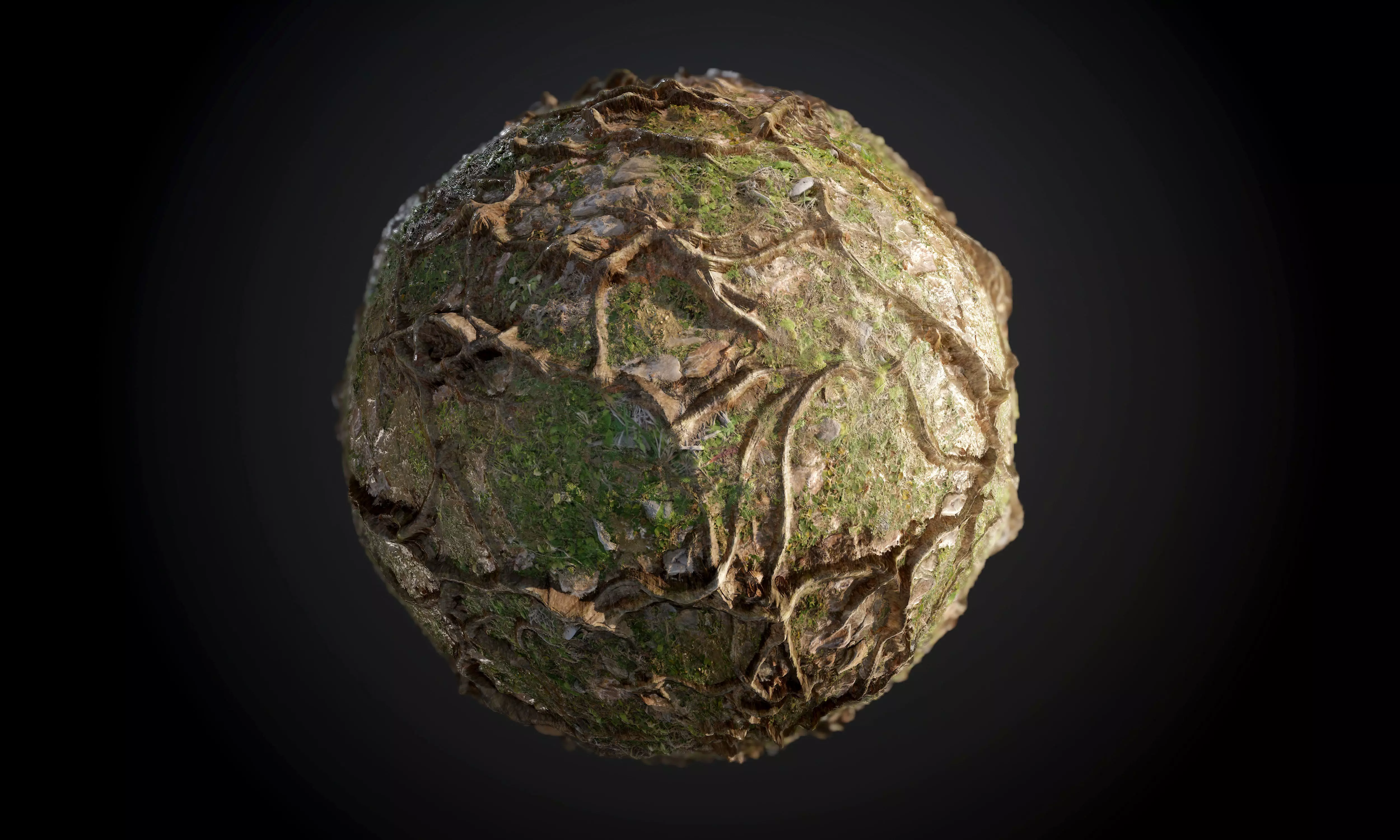 Tree Roots Ground Seamless PBR Texture Texture | CGTrader