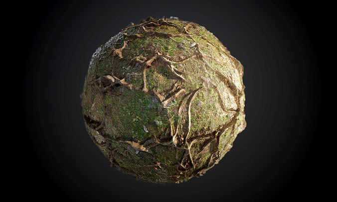 Tree Roots Seamless PBR Texture Texture