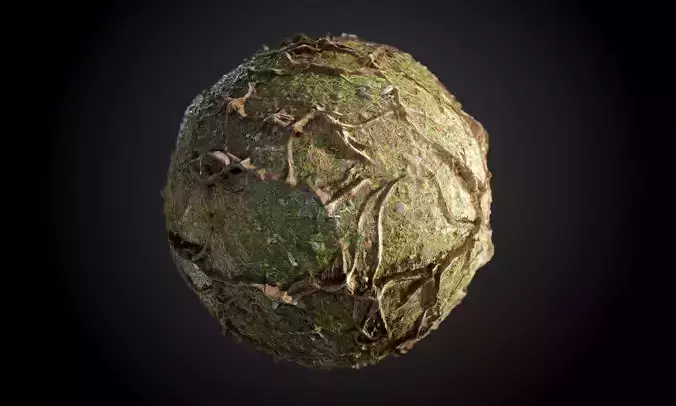 Tree Roots Seamless PBR Texture Texture