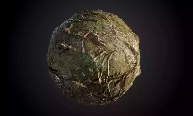 Tree Roots Terrain Seamless PBR Texture