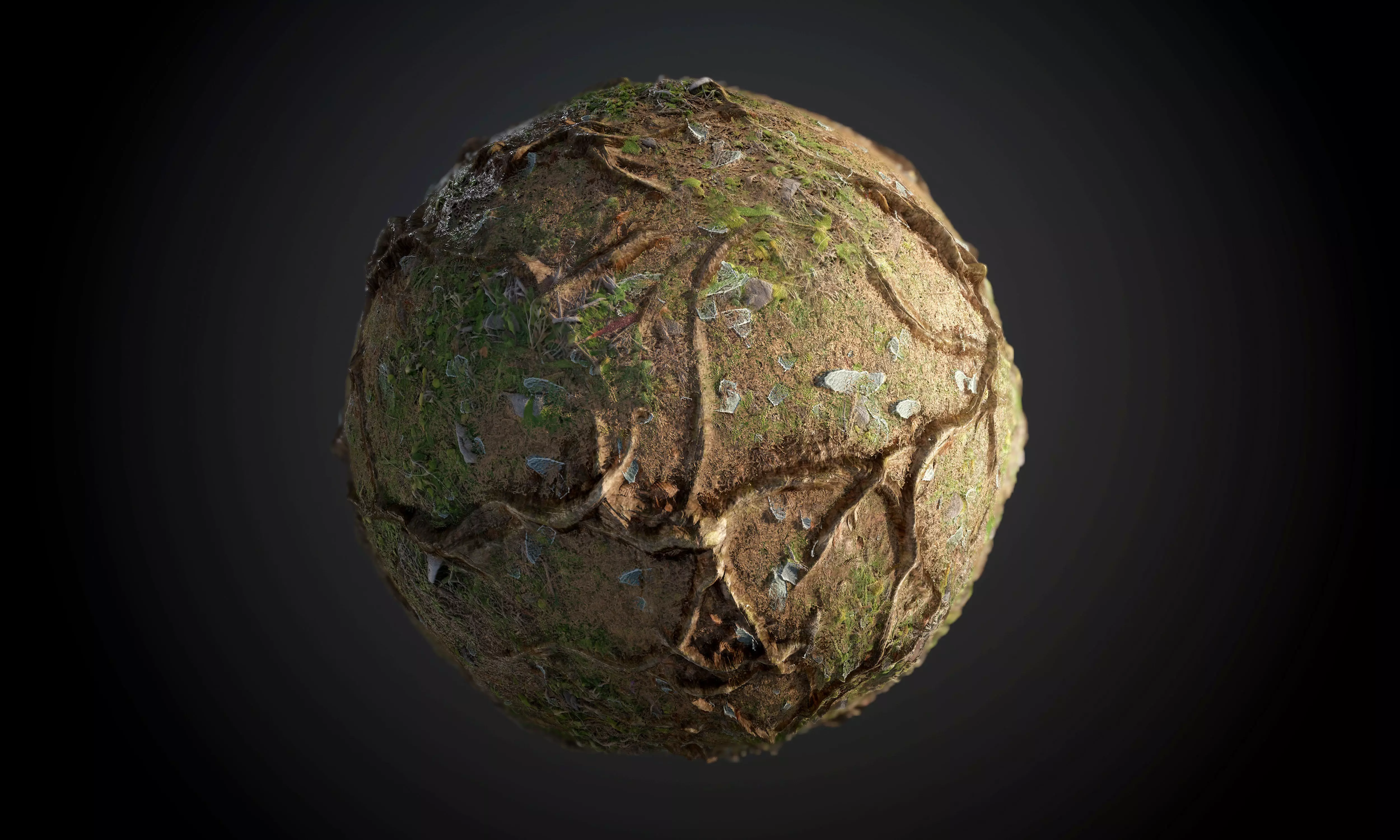 Tree Roots Terrain Seamless PBR Texture Texture_0