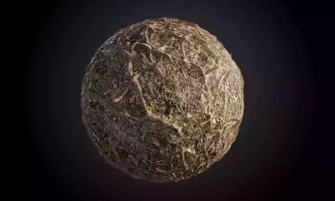 Ground Tree Roots Seamless PBR Texture