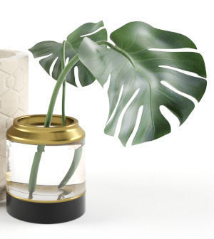 Monstera in Pot 3D model_2