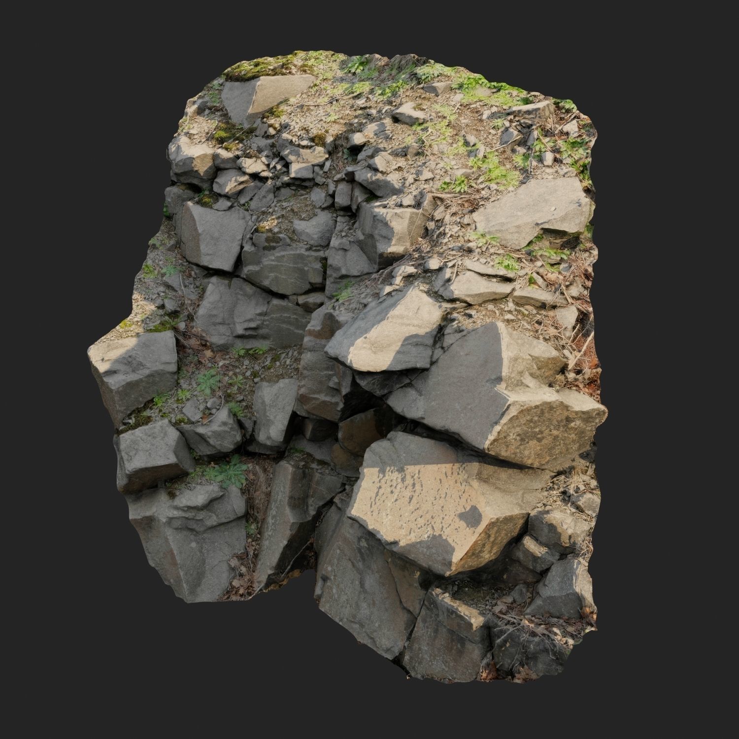3d scanned cliff face M 3D model_9