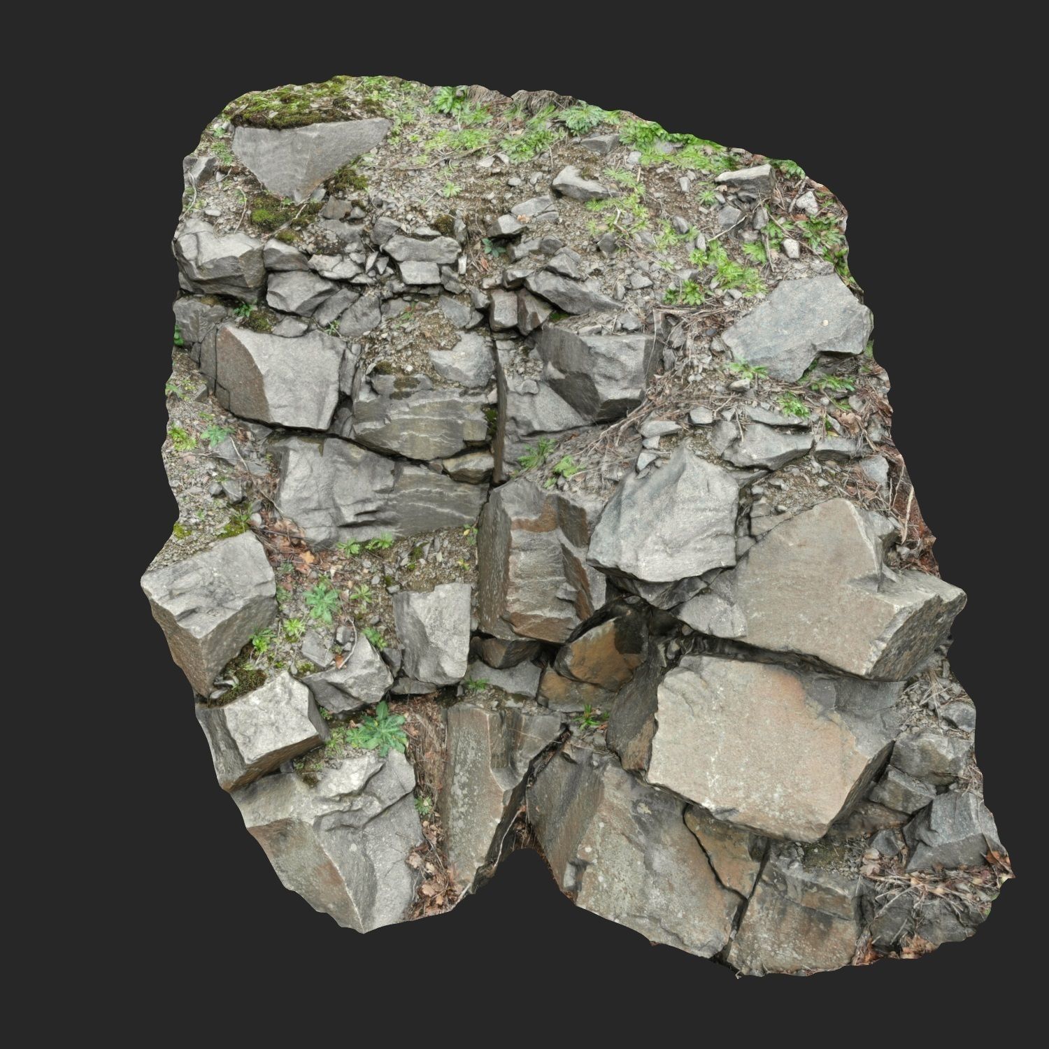 3d scanned cliff face M 3D model_5