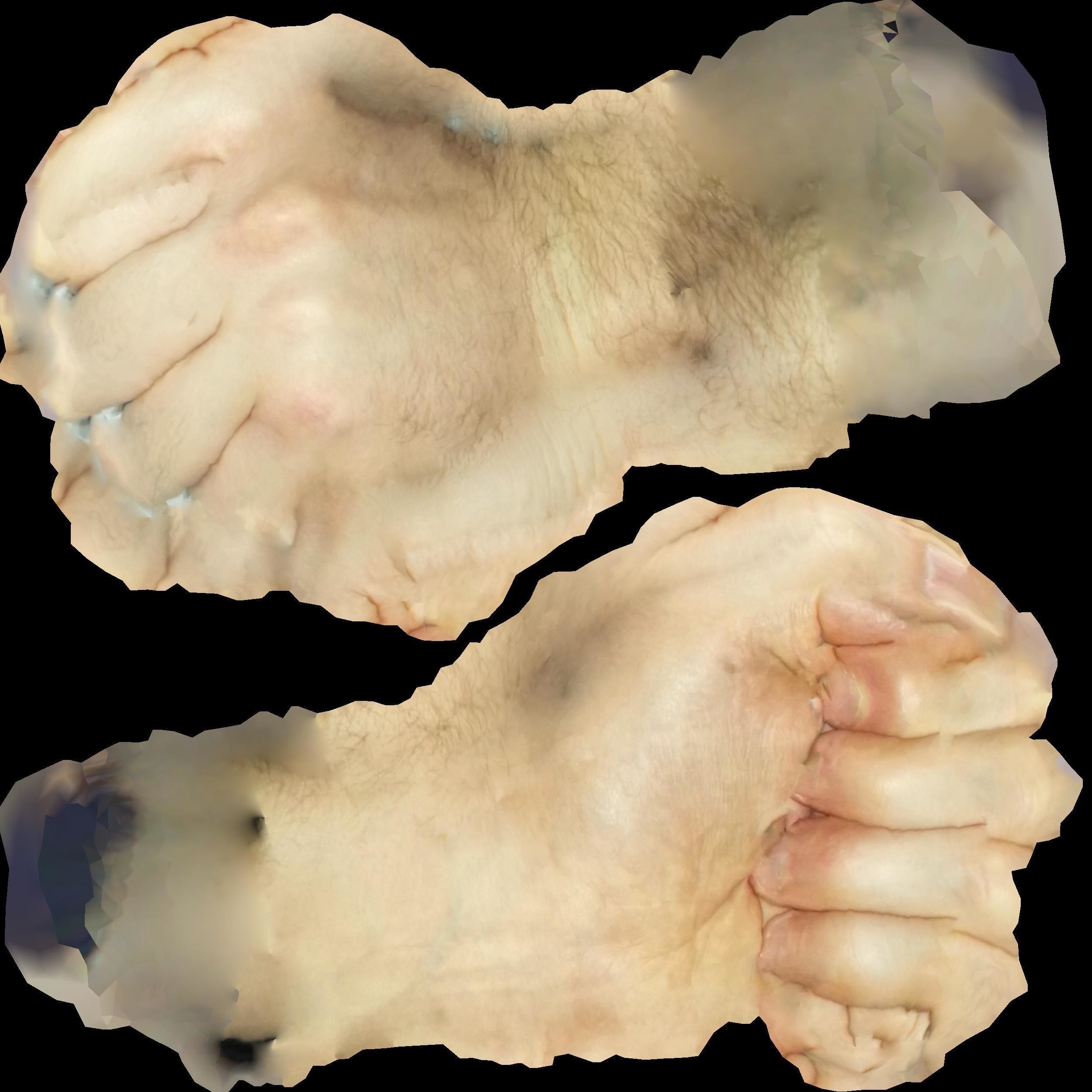 PBR Pickled Human Hand 3D model_2