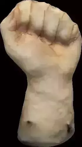 PBR Pickled Human Hand